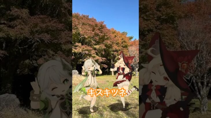 【秋ロリキスキツネ 1/3】色づいた高原の秋に 原神のナヒーダと魔女っ子クレーが「キスキツネ」【原神 AR ダンス  HIMEHINA】