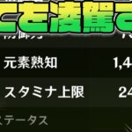 この世の全てを手に入れたデータキャラ、元素熟知【原神】