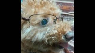 原神ガチャpart 35