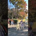 【秋の思い出 クレイジー 5/5】紅葉を迎えた公園 原神の七七やファルザンたちが みんなで「LADY CRAZY」【原神 AR ダンス  HIMEHINA】
