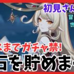 『原神 探索』アリスまでガチャ禁止🈲 まったり探索して原石を貯める❗#原神