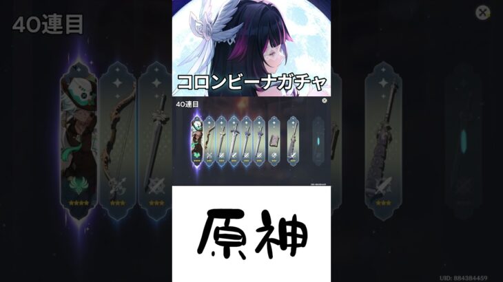 【原神】コロンビーナガチャ結果！！！ #原神 #genshinimpact