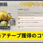 【原神】激戦の旅路「十六倍マンドラゴラ」（地方伝説）　場所・基本ギミック解説・攻略のコツ