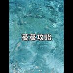 📙（蔓蔓攻略）#女大学生 #原神 #睡觉需要仪式感 #女生必备