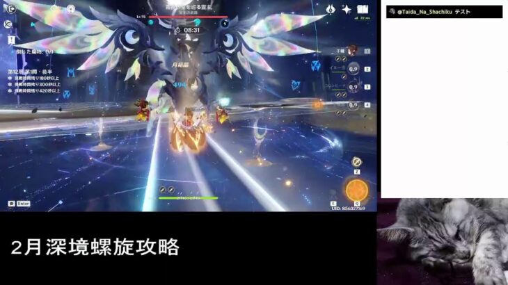 [原神]2月深境螺旋攻略、銀月の庭・伴月紀聞5。 2026/02/21