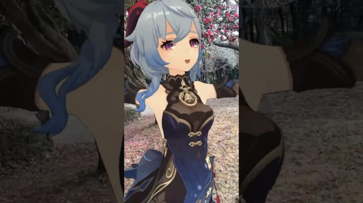 【冬に咲く花 クレイジー 2/5】冬景色の中だけに一層映える紅 原神のファルザンと甘雨が「LADY CRAZY」【原神 AR ダンス  HIMEHINA】