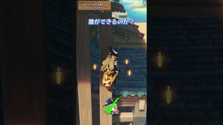 誰ができるのか？「LUNA Ⅴ」上半交換コード：ZECVG7IGRRY4
