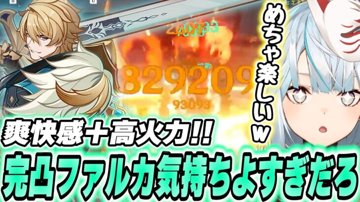 西風騎士団の生ける伝説！完凸ファルカまでガチャした結果…！【原神】