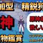 【＃原神参加型】【精鋭狩り】【聖遺物鑑賞】ニコリヤンって魔導に入るんですかね