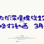 （原神）深境螺旋12層を攻略する動画