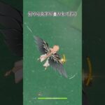 【原神】運営はやはりタルタリヤ愛があるようです