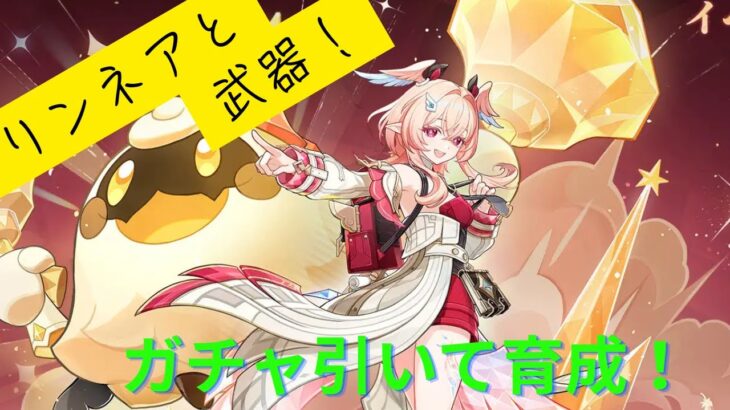 【原神】リンネア引くまでやめられねぇ！ガチャと育成して螺旋Let’s GO！