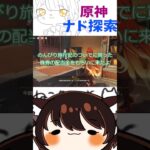 【原神/のんびり旅行記/ネフェル】攻略情報に乗ってなかったんだがーー？？？#原神 #genshinimpact #genshin #げんしん #のんびり旅行記 #ネフェル