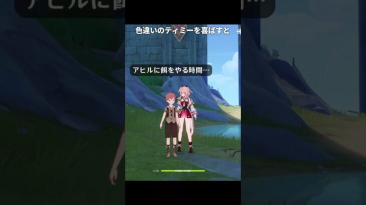 色違いのティミーを喜ばすと原石が貰える | 原神