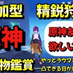 【＃原神参加型】【精鋭狩り】【聖遺物鑑賞】やっとラウマネフェルをトツできる日が来ました