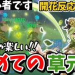 【原神】初めて草元素キャラを手に入れたんだけど、「激化」ってなに？【ゆっくり実況】
