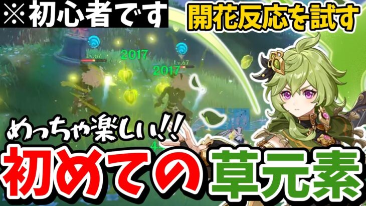 【原神】初めて草元素キャラを手に入れたんだけど、「激化」ってなに？【ゆっくり実況】