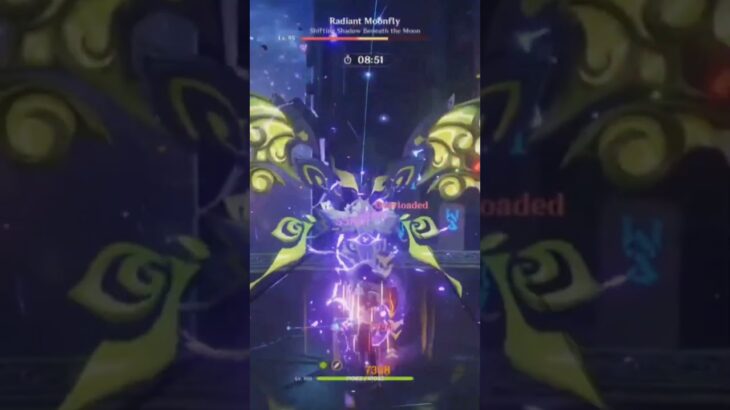 【原神】これが雷電将軍様に寄る最強の一撃です⚡️#原神 #genshinimpact #genshin #雷電将軍 #raidenshogun