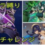 原神　キャラ縛り　公義討伐(リクエスト)