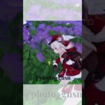 💜🩷#原神 #GenshinImpact #原神写真部 #プルーネ #Prune #クレー #Klee