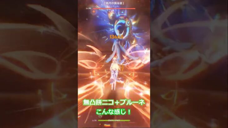 【原神 】無凸でも最強サポ！ニコ&プルーネで完成したファルカパが強い！ #genshinimpact #原神