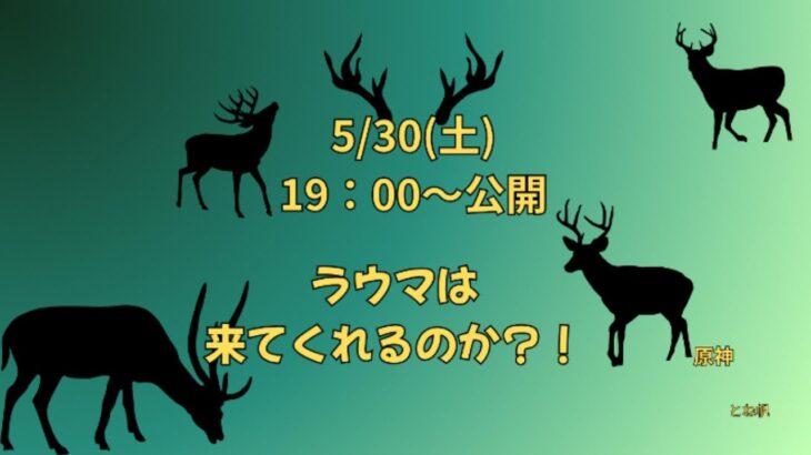 【原神】ラウマは来てくれるのか…静かに祈りながらガチャ回した日