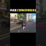 #異環 #nevernesstoeverness #原神