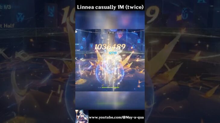 One million DMG like its nothing #genshinimpact #原神 #genshin #zibai #linnea