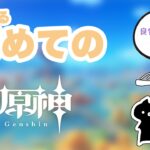 【原神】飛行試験を攻略する【初見】