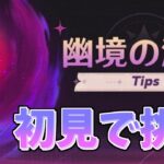 ちょっと遅めの幽境攻略【原神】