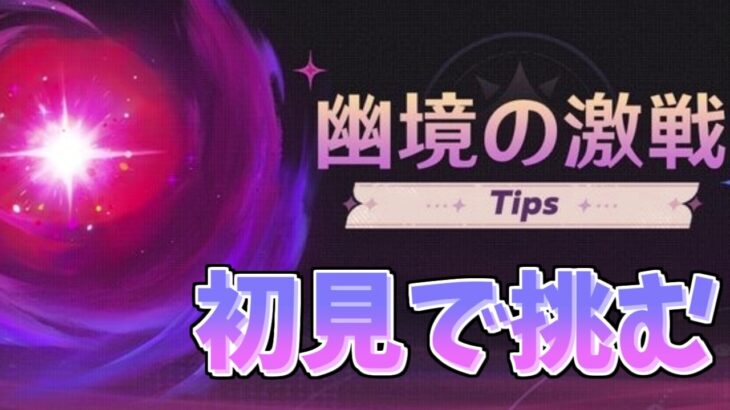 ちょっと遅めの幽境攻略【原神】
