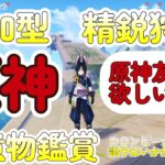 【＃原神参加型】【精鋭狩り】【聖遺物鑑賞】コロンビーナ雷電ガチャ調子はいかがですか