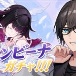 【原神】久しぶりの原神！コロンビーナガチャ！！！！