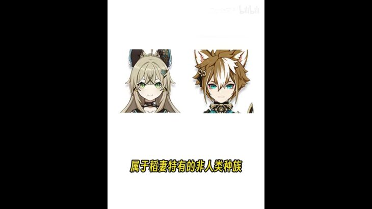 《原神》中存在的非人类角色究竟有几种？