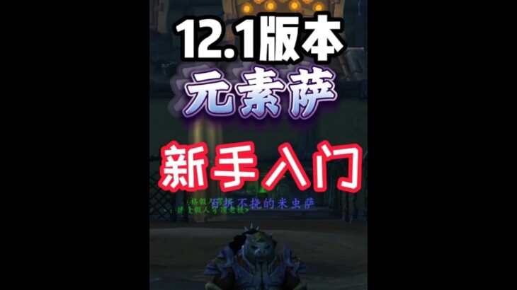 12.1！原神，啟動！站樁我無敵，你敢拉怪跑，我就敢跑！ #魔獸世界國服21周年#魔獸世界#魔獸世界新手攻略 #魔獸世界至暗之夜攻略 #元素薩W