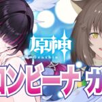 【#原神】ガチャ！コロンビーナ｜なけなしの石で最終日に引くとどうなるのか！？｜｜　# ７５.１