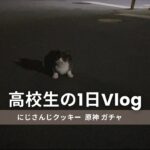 高校生の1日vlog /原神ガチャ/にじさんじクッキー