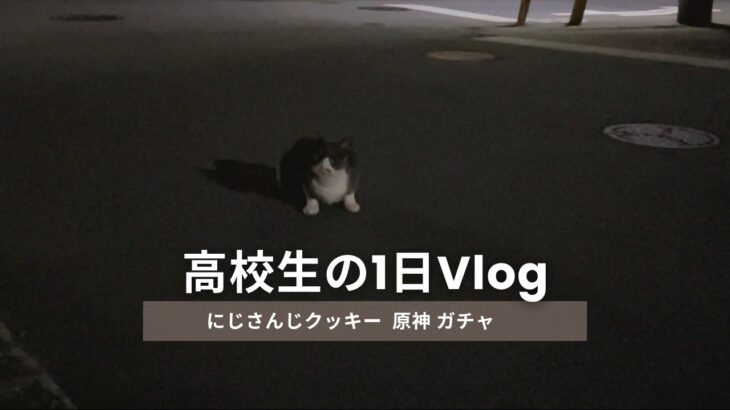 高校生の1日vlog /原神ガチャ/にじさんじクッキー