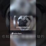 原神做完每日还能干啥？#原神深渊#满星深渊#