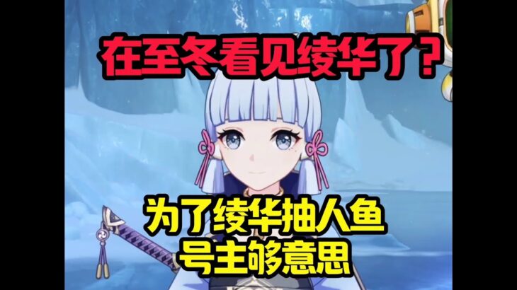 在至冬看到绫华了#原神#派蒙#GenshinImpact#游戏