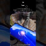 【原神】 ガチャの結果によっては今後の人生も変わるのきついな#shorts #原神 #genshinimpact #funny #genshin #旅人
