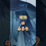原神の植物のディテール。7.1下半交換コード：OKTC4RQ1H12S#原神 #genshinada #genshinimpact #genshin